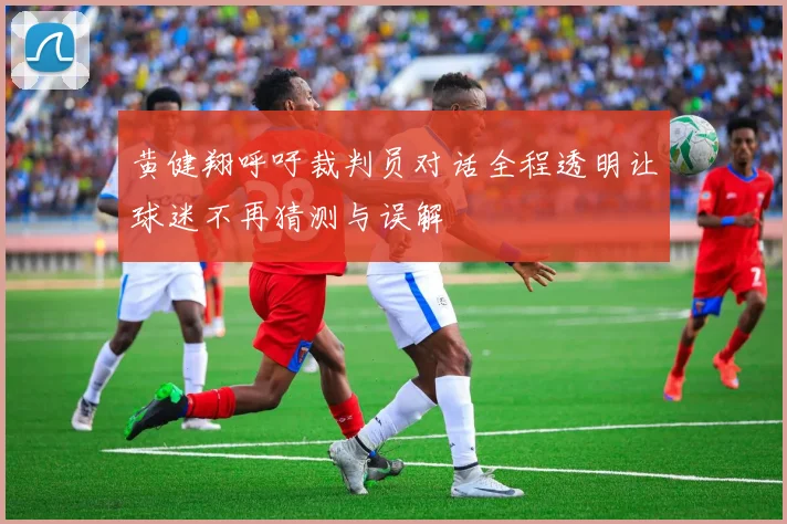 黄健翔呼吁裁判员对话全程透明让球迷不再猜测与误解