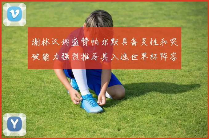 谢林汉姆盛赞帕尔默具备灵性和突破能力强烈推荐其入选世界杯阵容