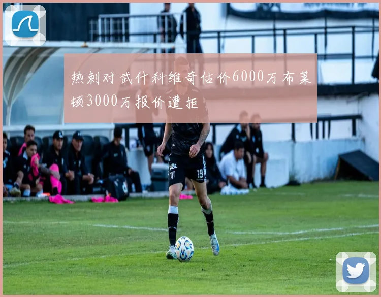 热刺对武什科维奇估价6000万布莱顿3000万报价遭拒