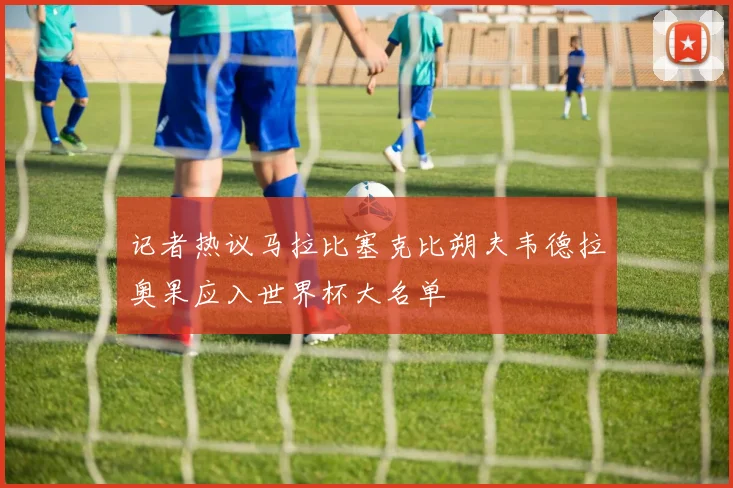 记者热议马拉比塞克比朔夫韦德拉奥果应入世界杯大名单